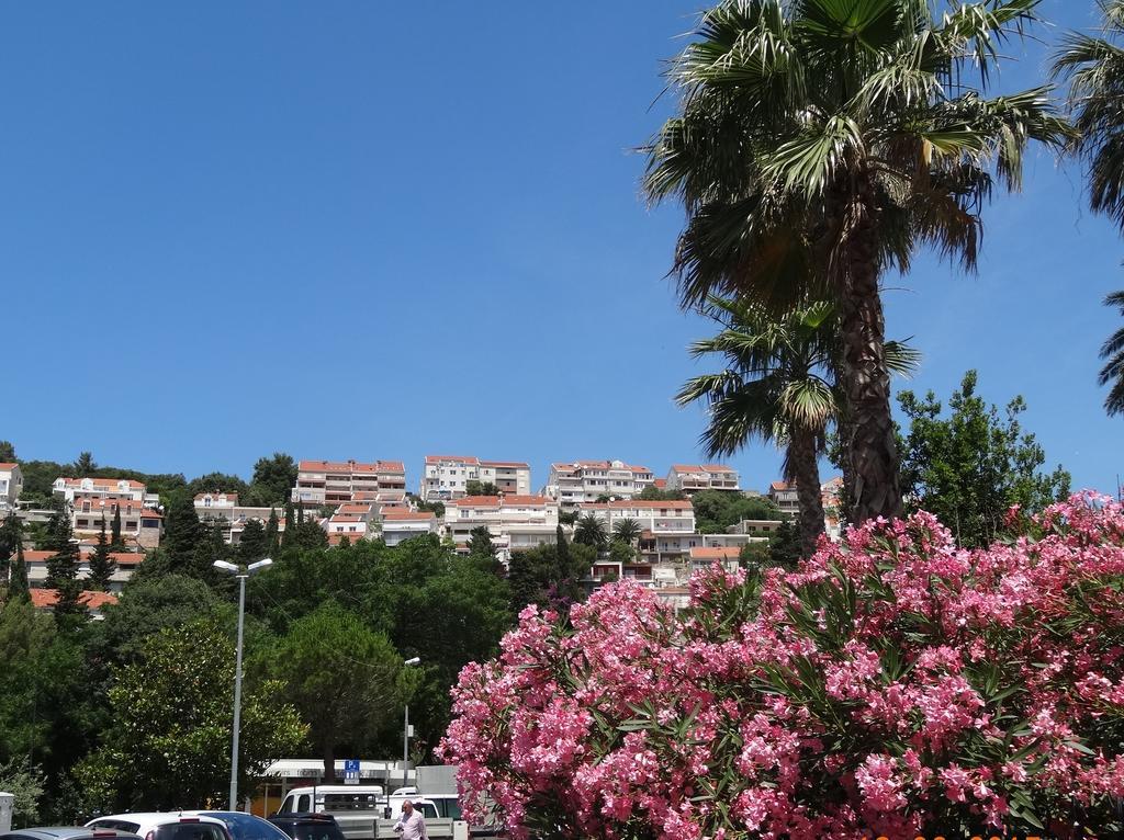 Apartments Roko Dubrovník Exteriér fotografie